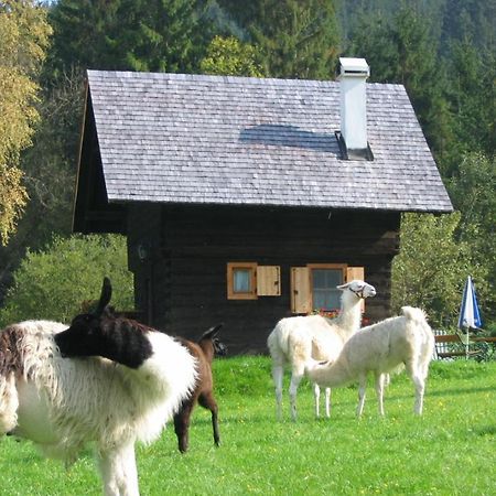 Huette Zum Verlieben Gurk Экстерьер фото