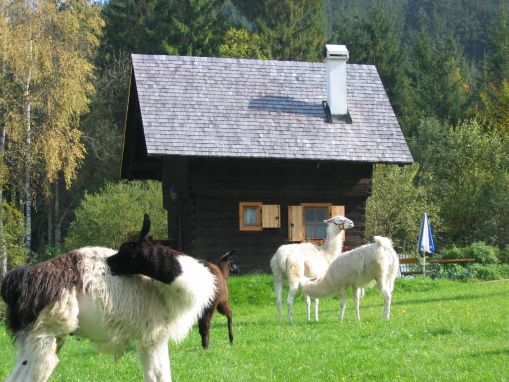 Huette Zum Verlieben Gurk Экстерьер фото