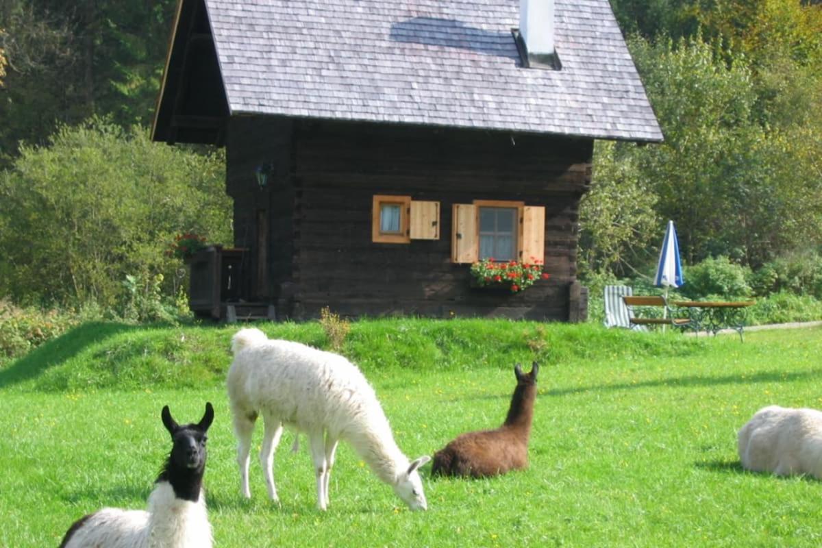 Huette Zum Verlieben Gurk Экстерьер фото
